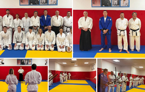 DOJO DE LUPINO :
