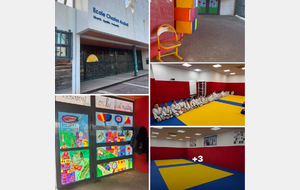 DOJO SOCIAL DE LUPINO :