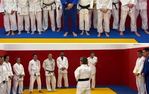 DOJO DE LUPINO