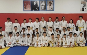 DOJO SOCIAL DE LUPINO :