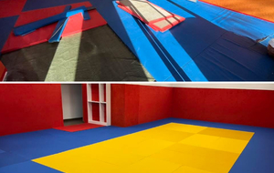 DOJO SOCIAL DE LUPINO :