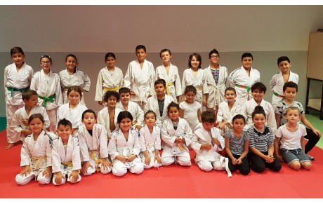 REPRISE au TOP au DOJO de LUPINO