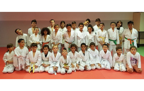 Le DOJO de LUPINO démarre FORT !!!