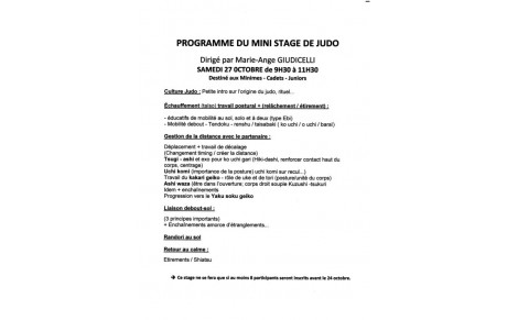 MINI STAGE DE JUDO :