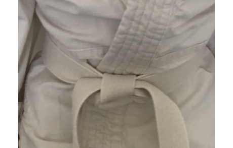LA CAB ORGANISERA UNE DÉCOUVERTE DU JUDO À LA TOUSSAINT :