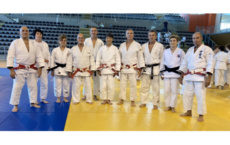 LES CN &amp; HAUTS GRADÉS AVEC HIKARI SASAKI :