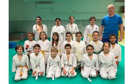 DOJO SOCIAL DE LUPINO :