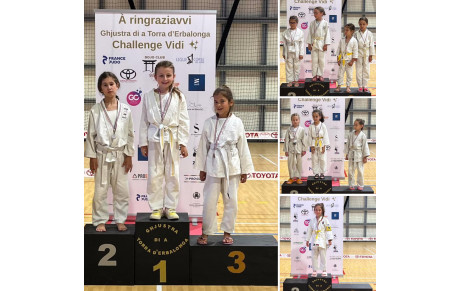 TOURNOI DE BRANDO :