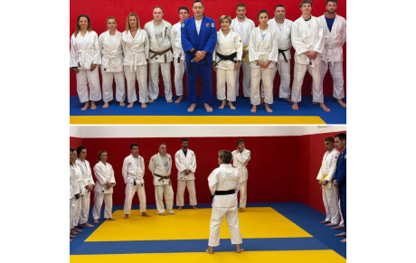 DOJO DE LUPINO 