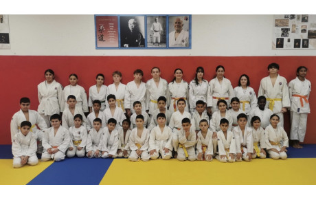 DOJO SOCIAL DE LUPINO :